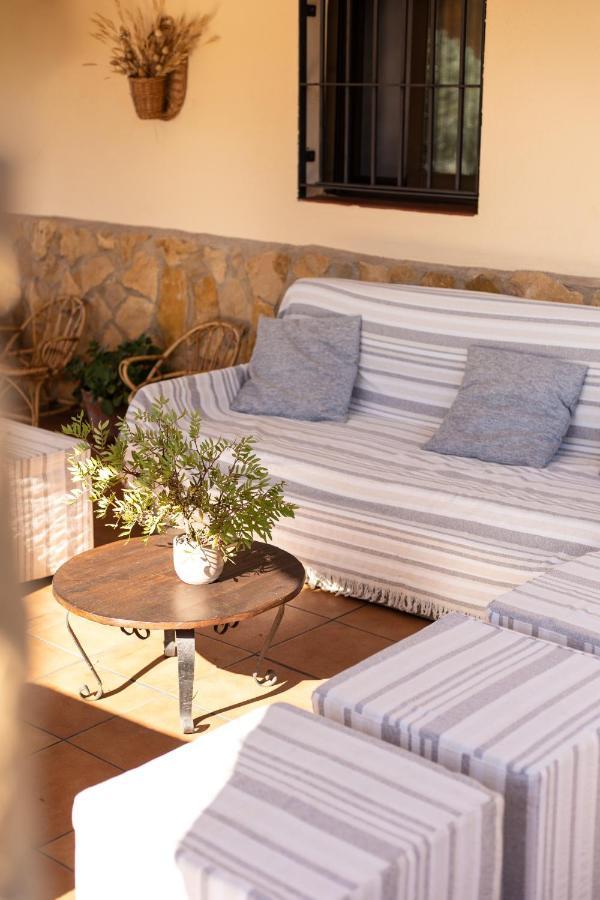 Appartement El Niu Dels Paputs Castellón de la Plana